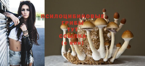СК Инсар