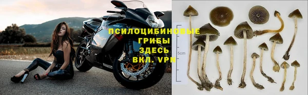мяу мяу кристалл Инта