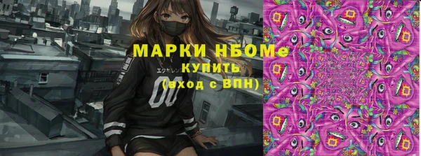 СК Инсар