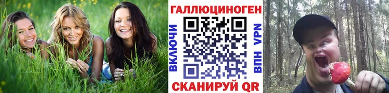 Псилоцибиновые грибы мицелий  Купить  Буйнакск 