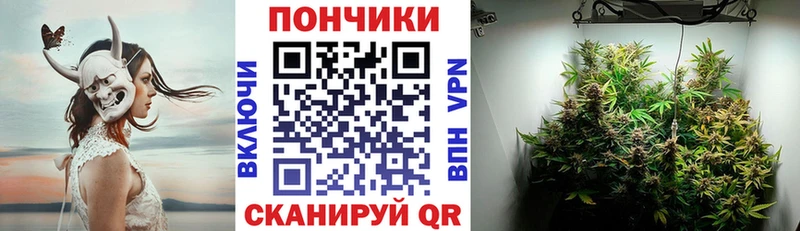Купить  Буйнакск  Канабис OG Kush 